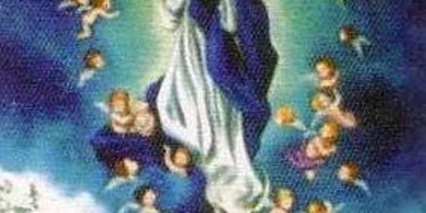 porcijunkula porcijunkula