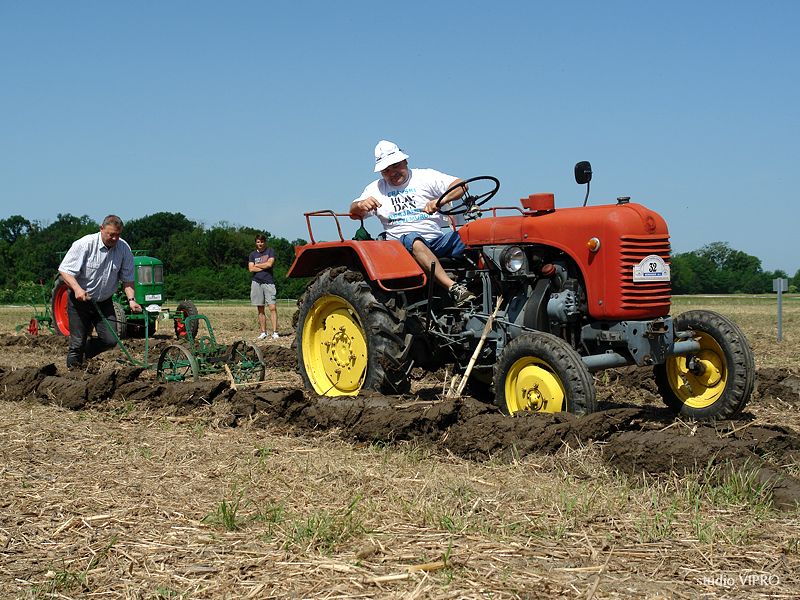 353915397dsc06388520741