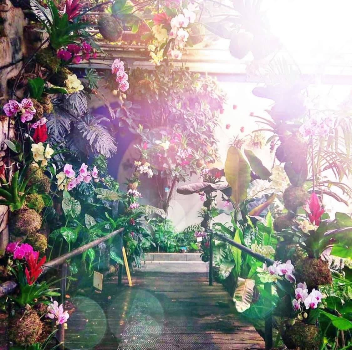 Image 5818461 (auto)