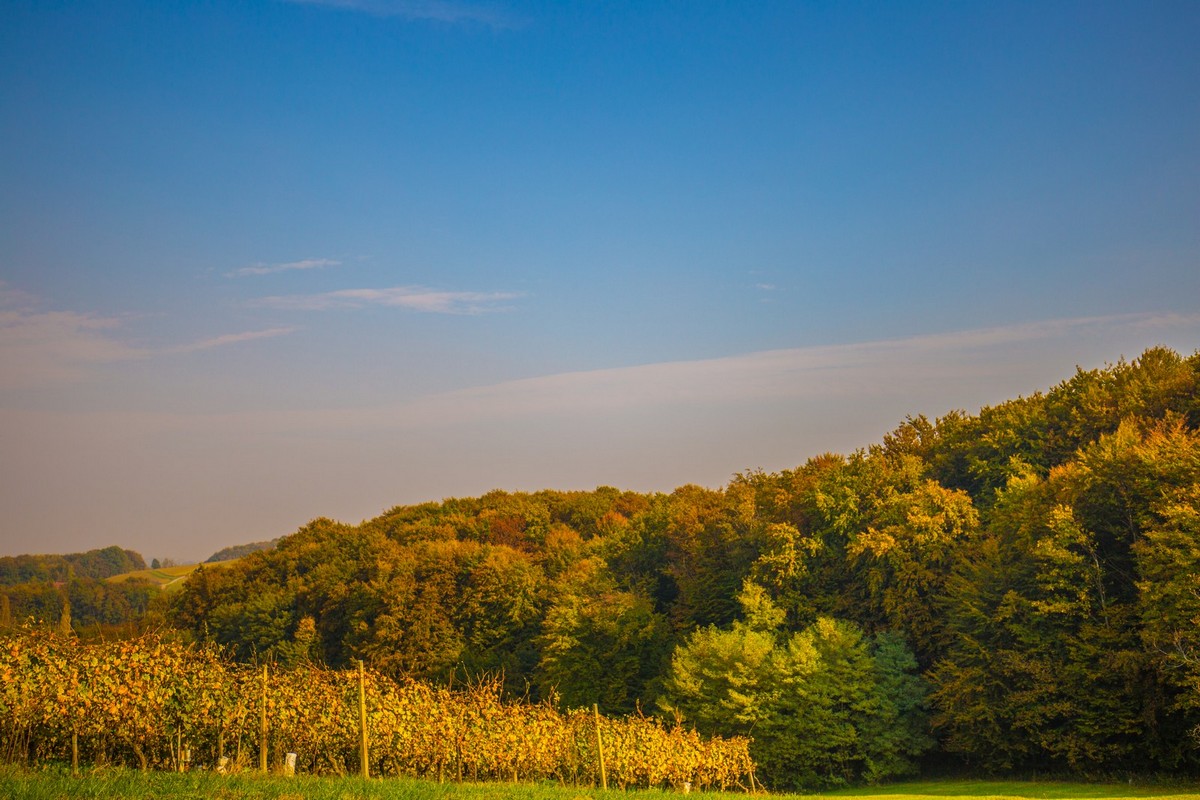Jesenska rapsodija kroz objektiv Miroslave Novak