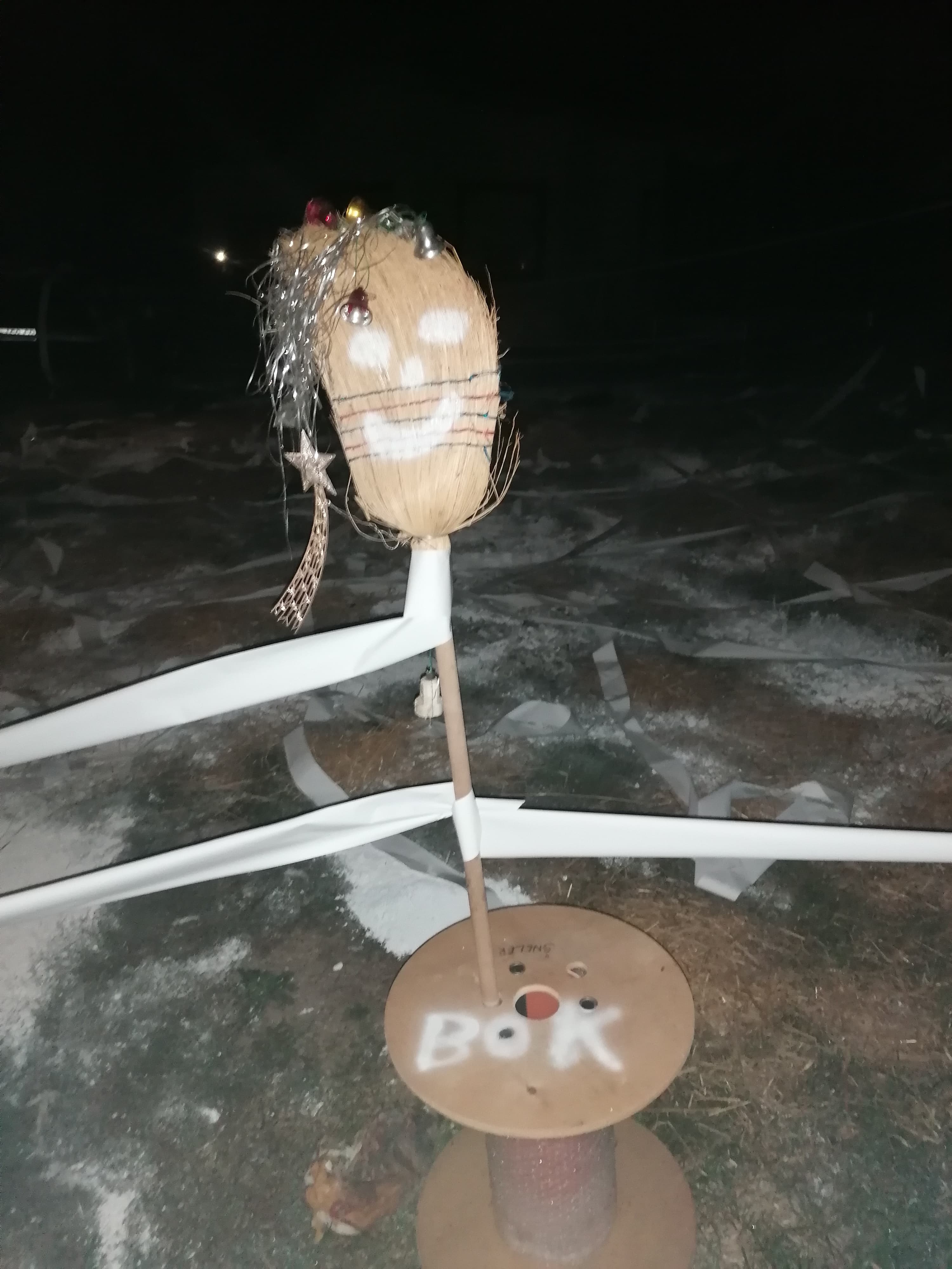 FOTO Potepanje ih nije mimoišlo: Zaručili su se Dajana Novak i Dario Žnidarić!