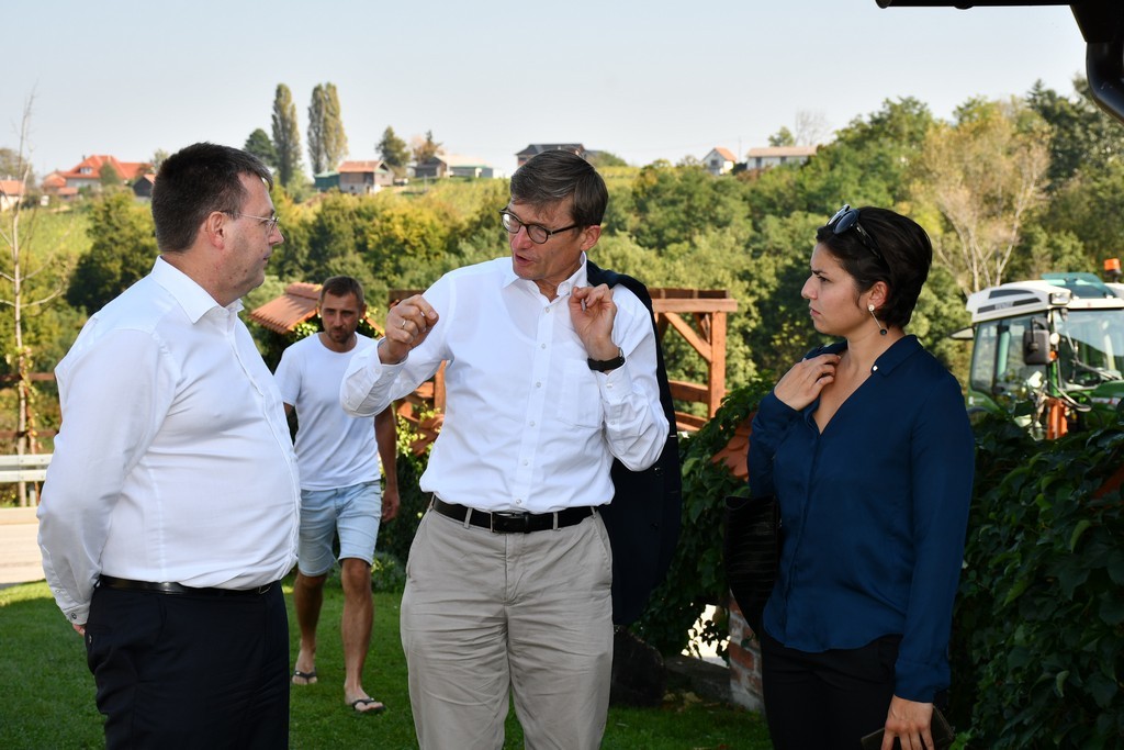 Vinarija Horvat, berba