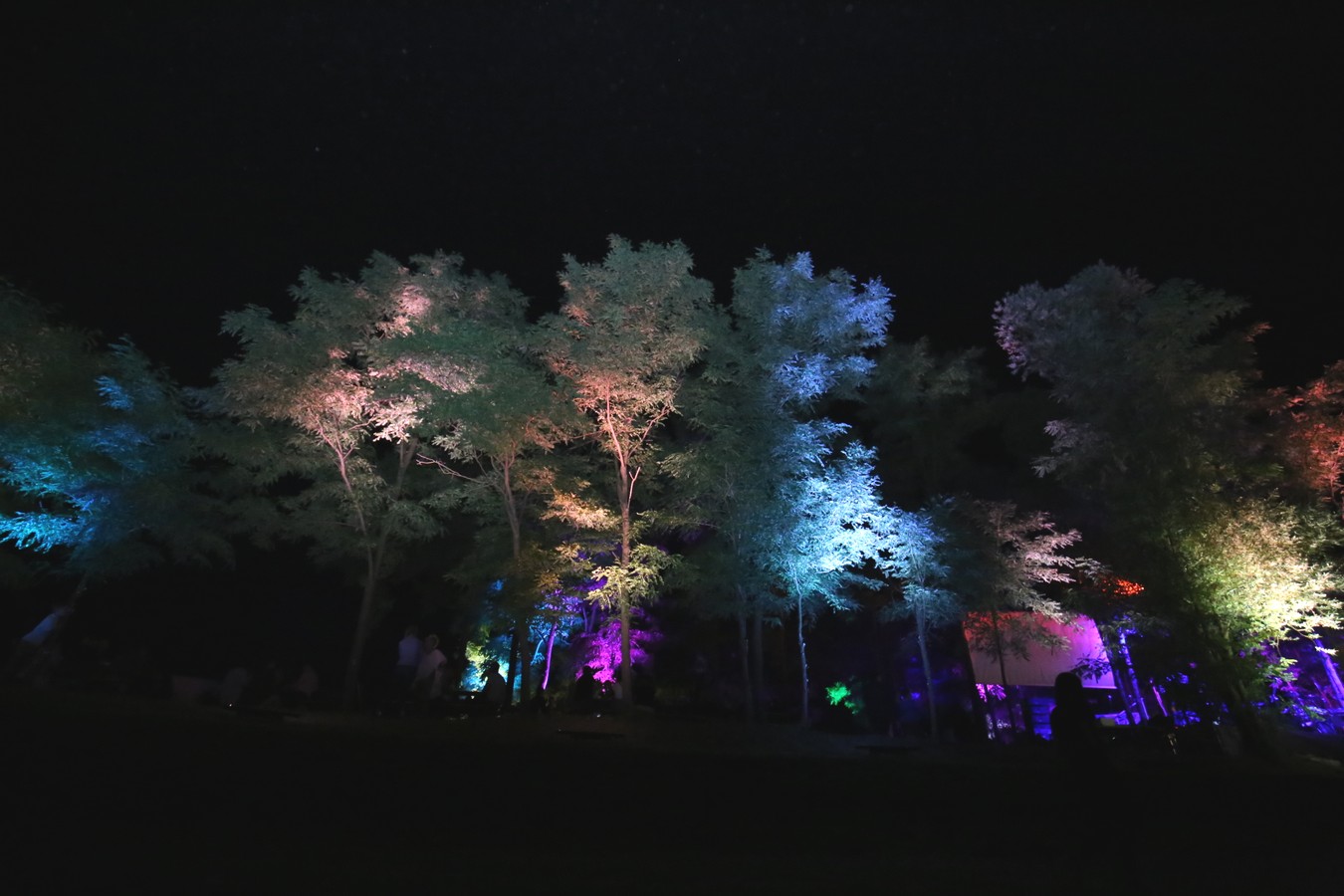 Odličan koncert Vatre u predivnom ambijentu Mađerkinog brega