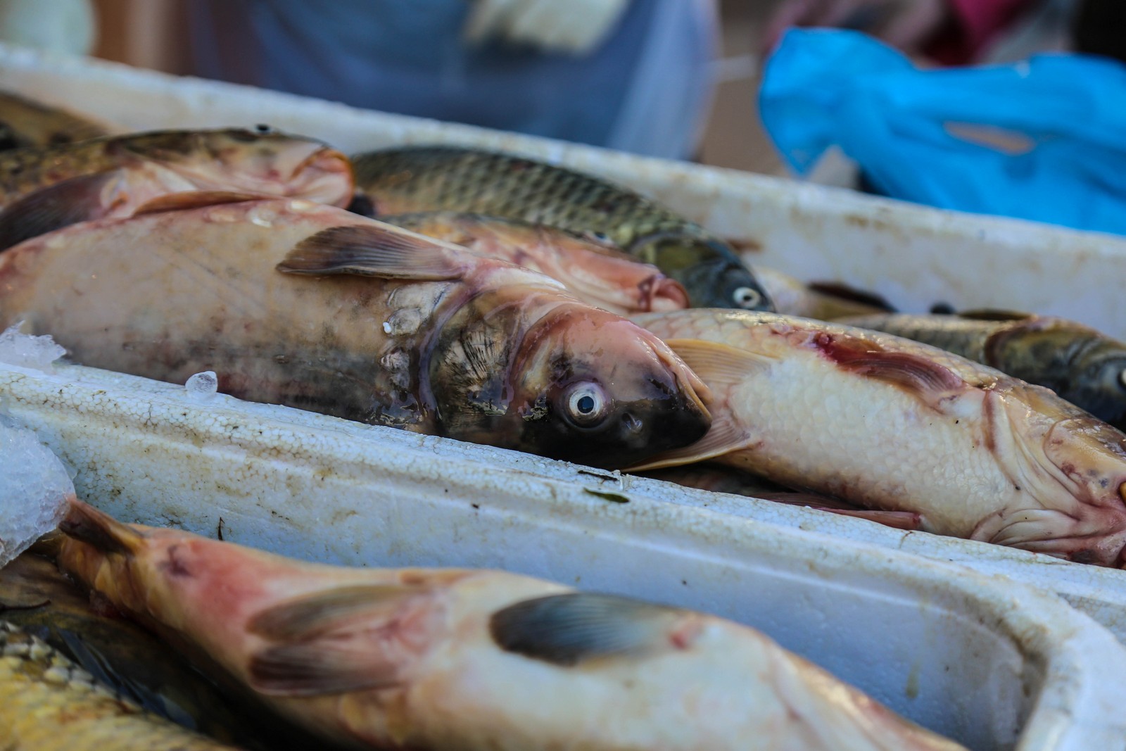 Čakovečki plac na Veliki petak