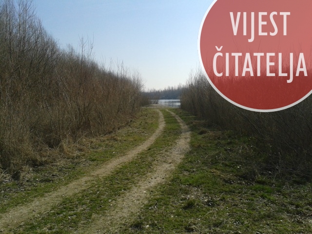 20150308104753865520