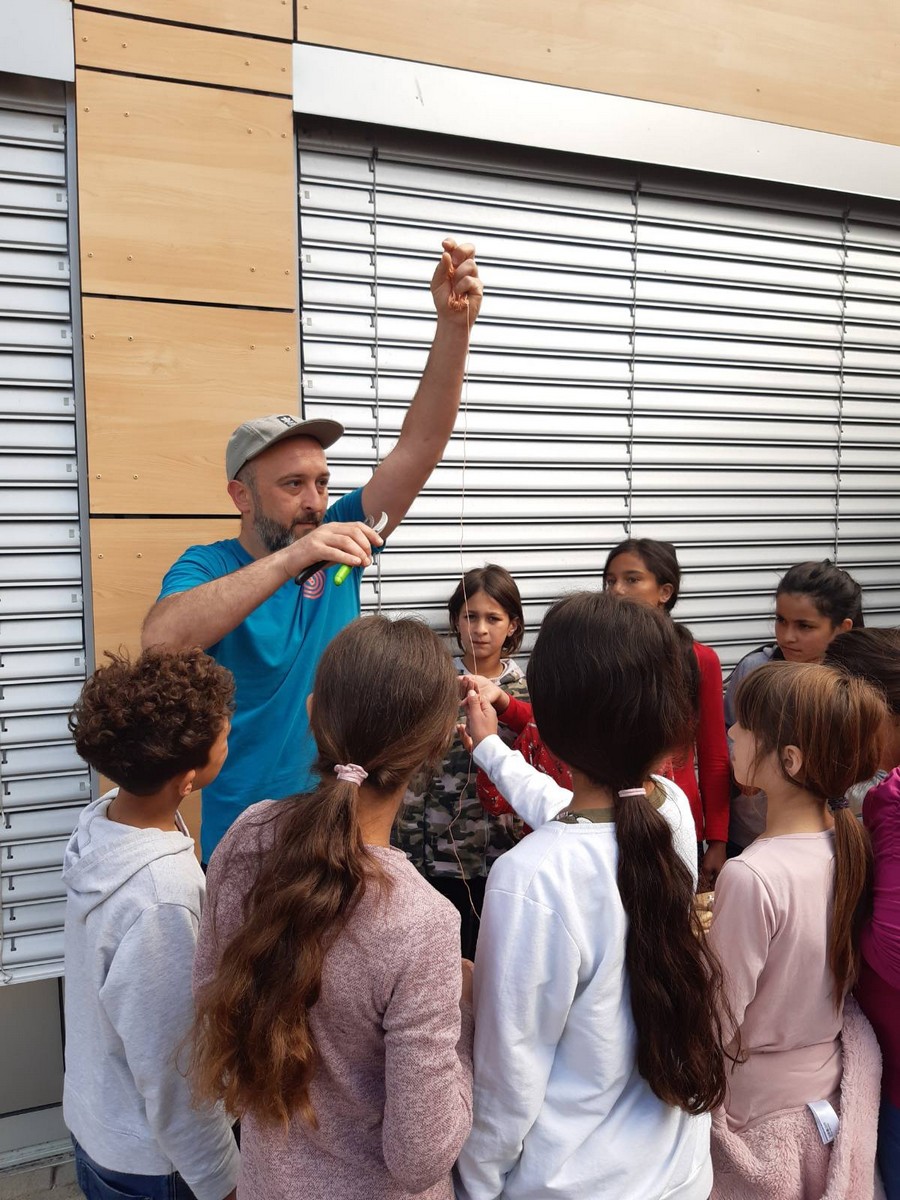 Radionica ‘Kao prvo – zagonetno drvo’