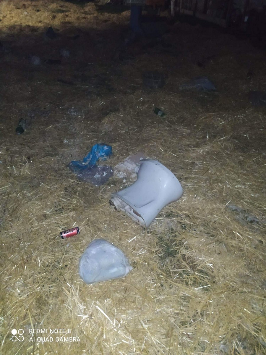 Potepanje za mladence: Žene se Maja Ferlin iz Pušćina i Marko Medved iz Pleškovca