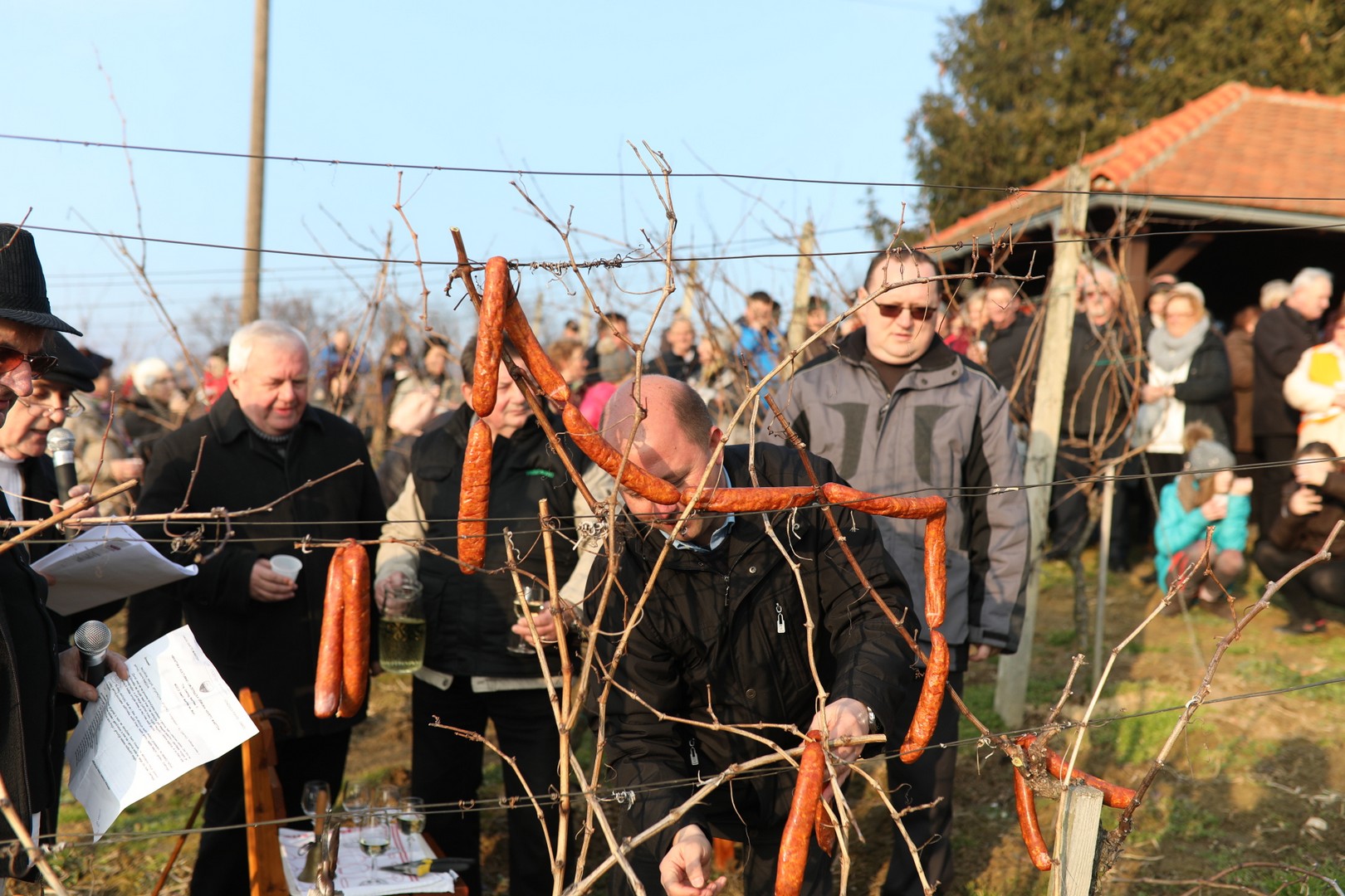 Vincekovo u Svetom Martinu na Muri
