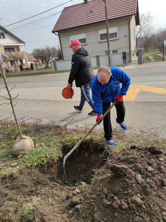 Belica, sadnja parka 2022