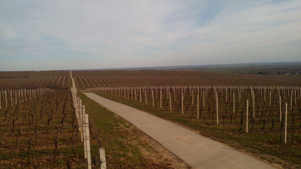 img20160222145450819989