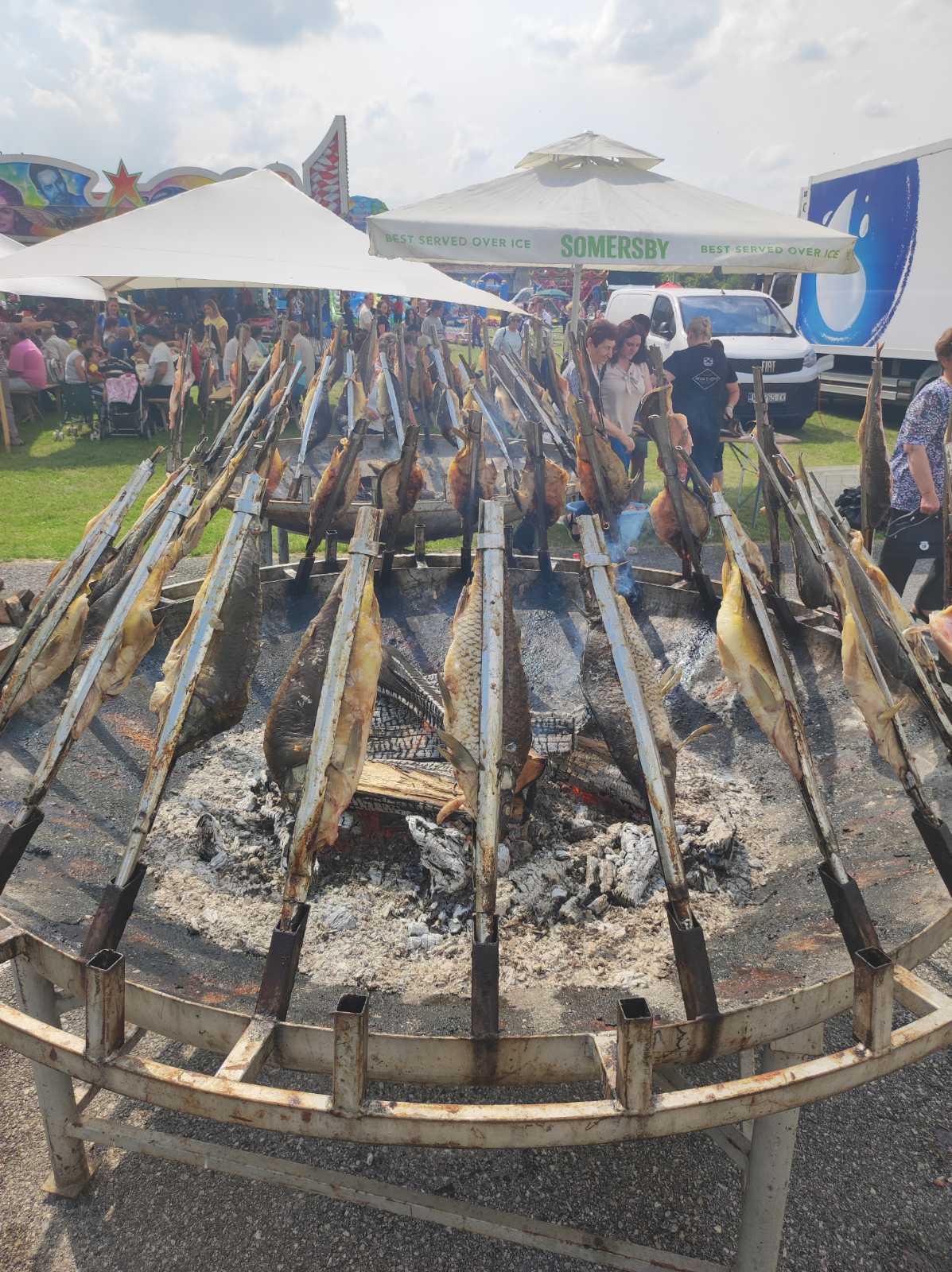 NAJVEĆA KOTORIPSKA MANIFESTACIJA Dani šibe i ribe i ove godine privukli mnoštvo gostiju