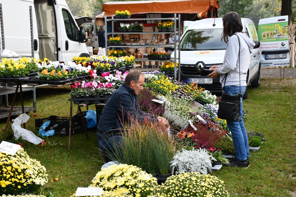 FOTO S dolaskom hladnijih dana povećan interes za kupnju drva za ogrjev