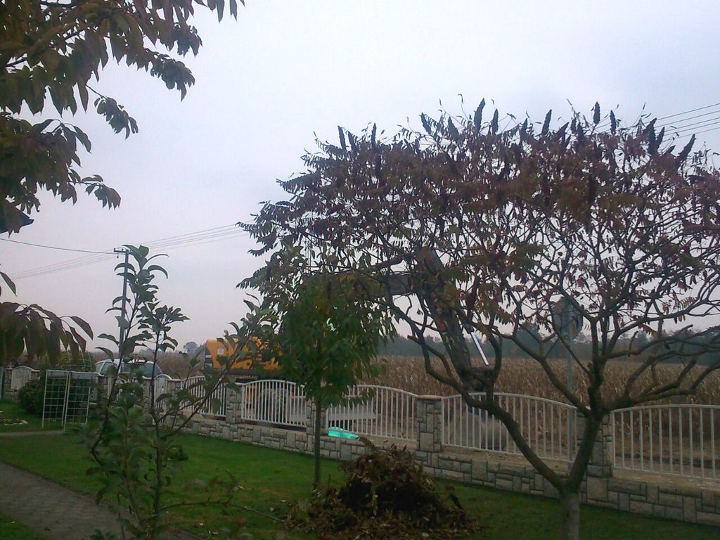 image9454c98b9808a3f5c450db676b