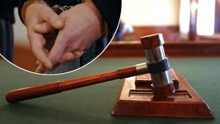 presuda, lisice, lopov