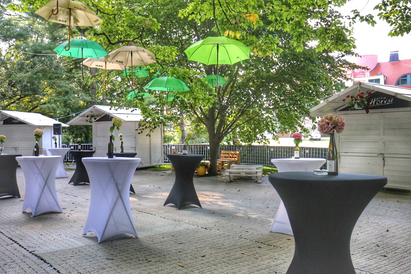 VinoGrad – neodoljiv svijet međimurskih vina na Porcijunkulovom