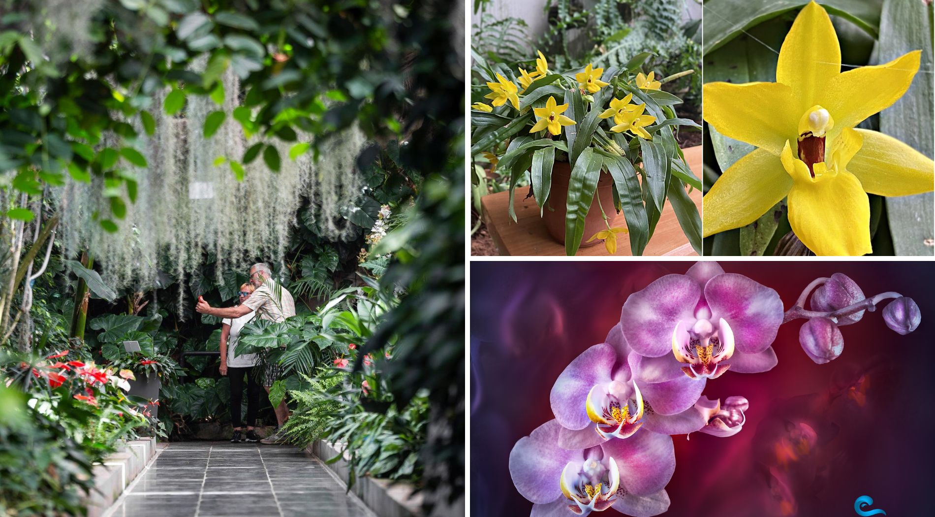 Image 5818471 (auto)