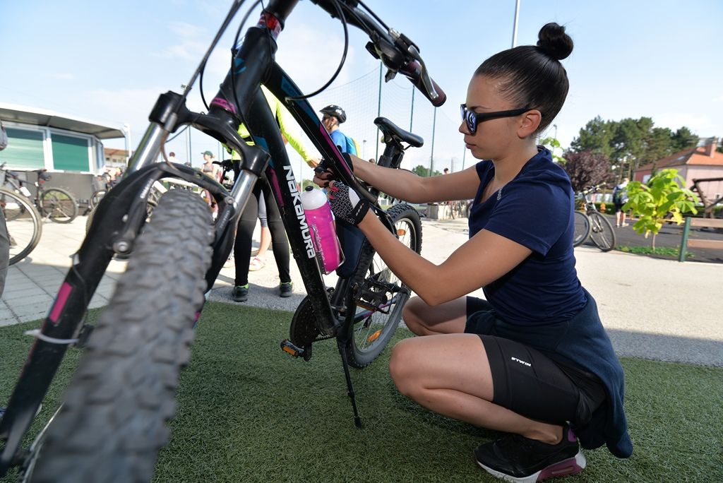 udripopedalitts08743351