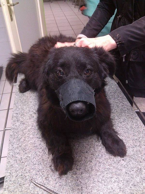 1231624611861309914015808166275