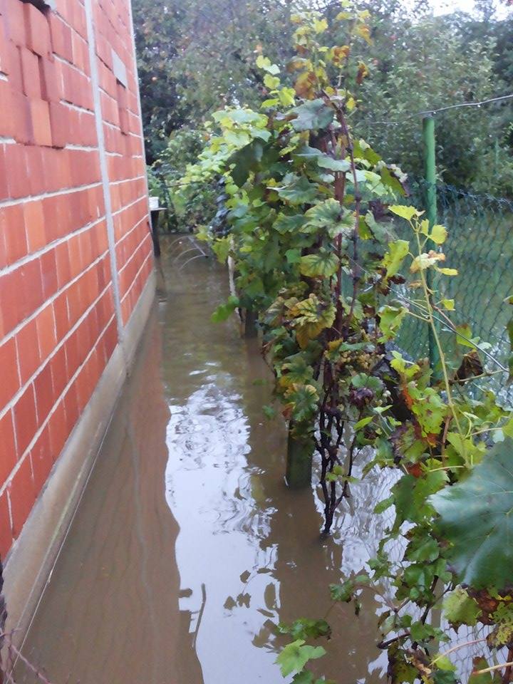 1069911674654876538181320742085