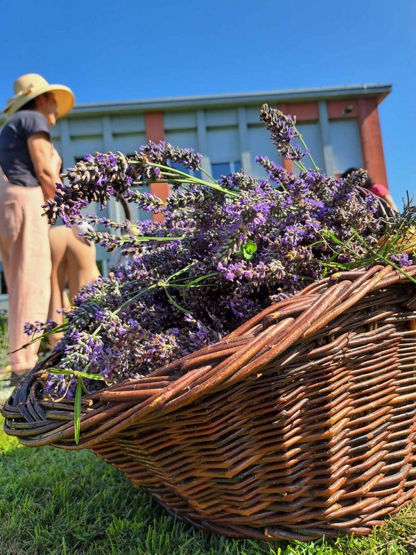 Mirisni vrt ETŠ Čakovec
