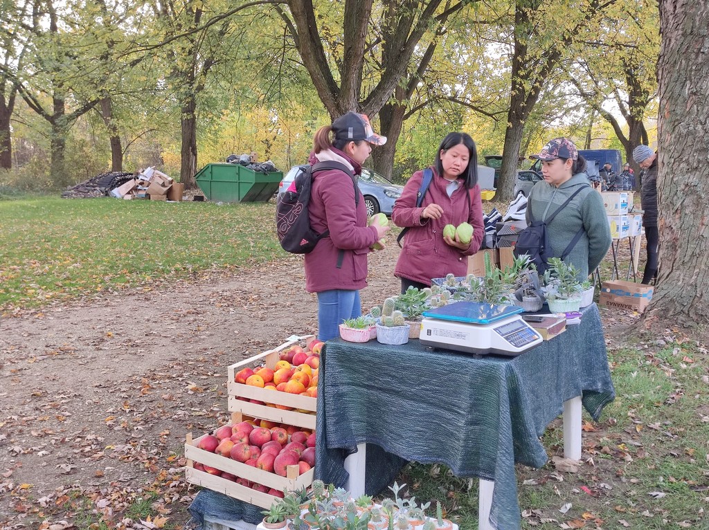 SAJAM SRIJEDOM Jeste li već probali meksički krastavac ili čajot?