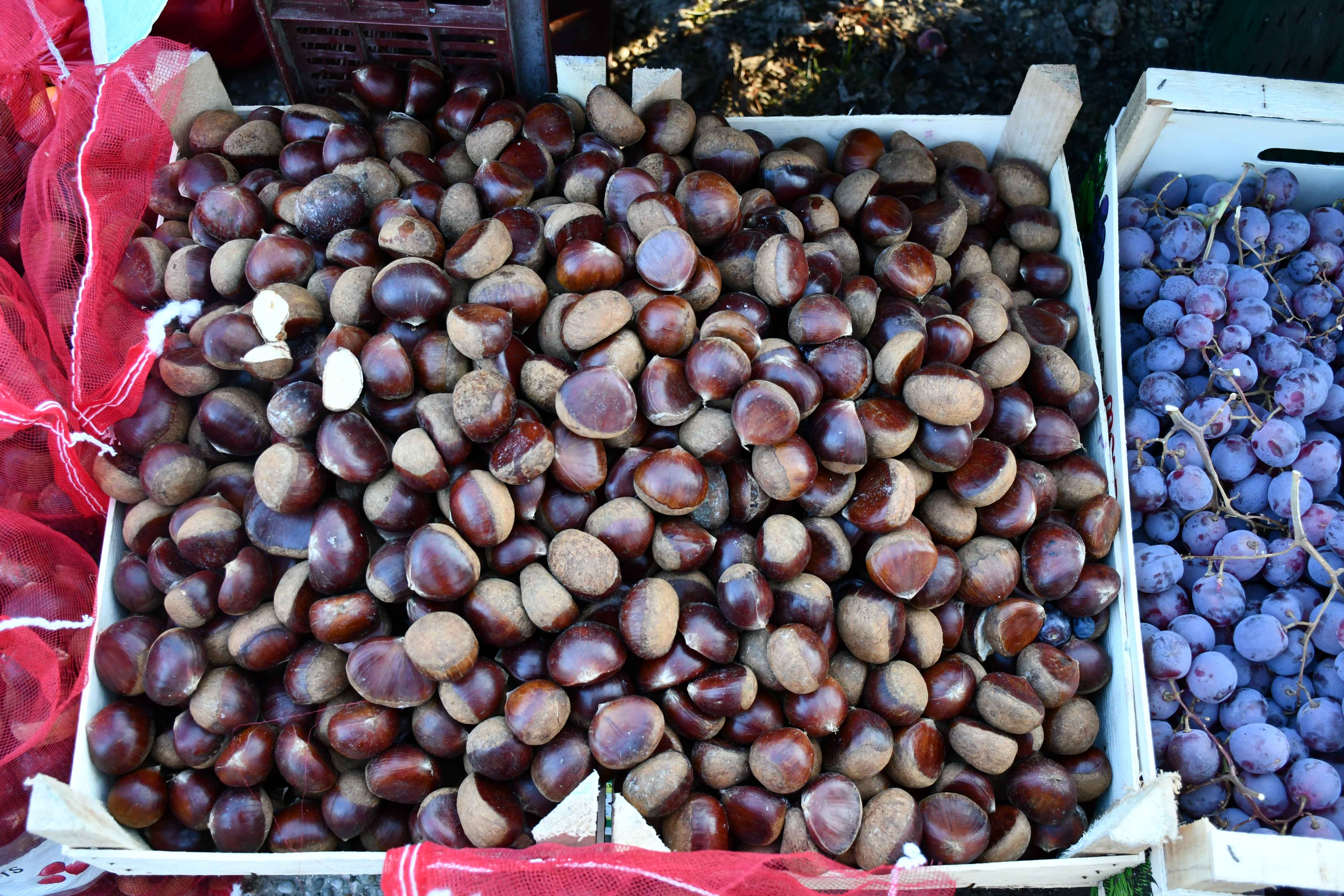 ZUBATO SUNCE Bogata ponuda voća i povrća na čakovečkom sajmu, a zaigrao se i šah!