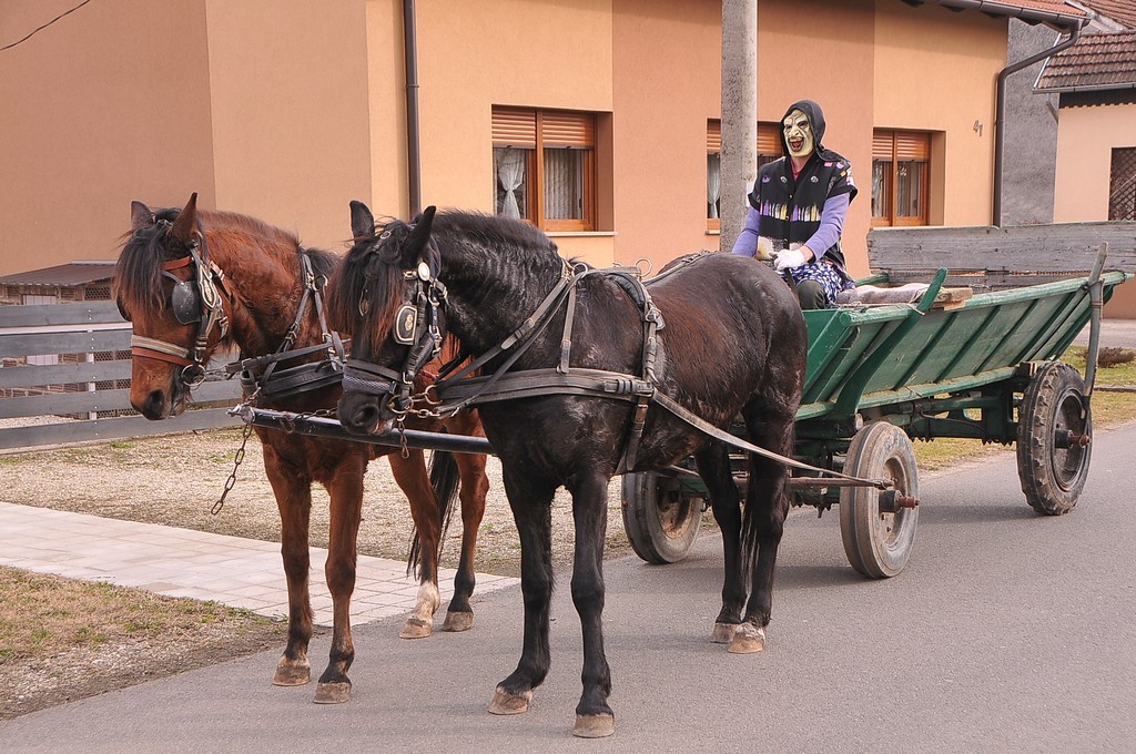 Vesela maskirana povorka zabavila Štefanec