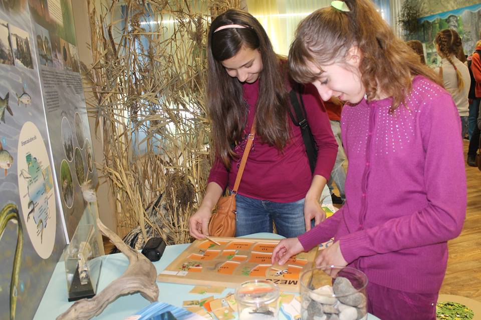 1311558210153566801181299902085