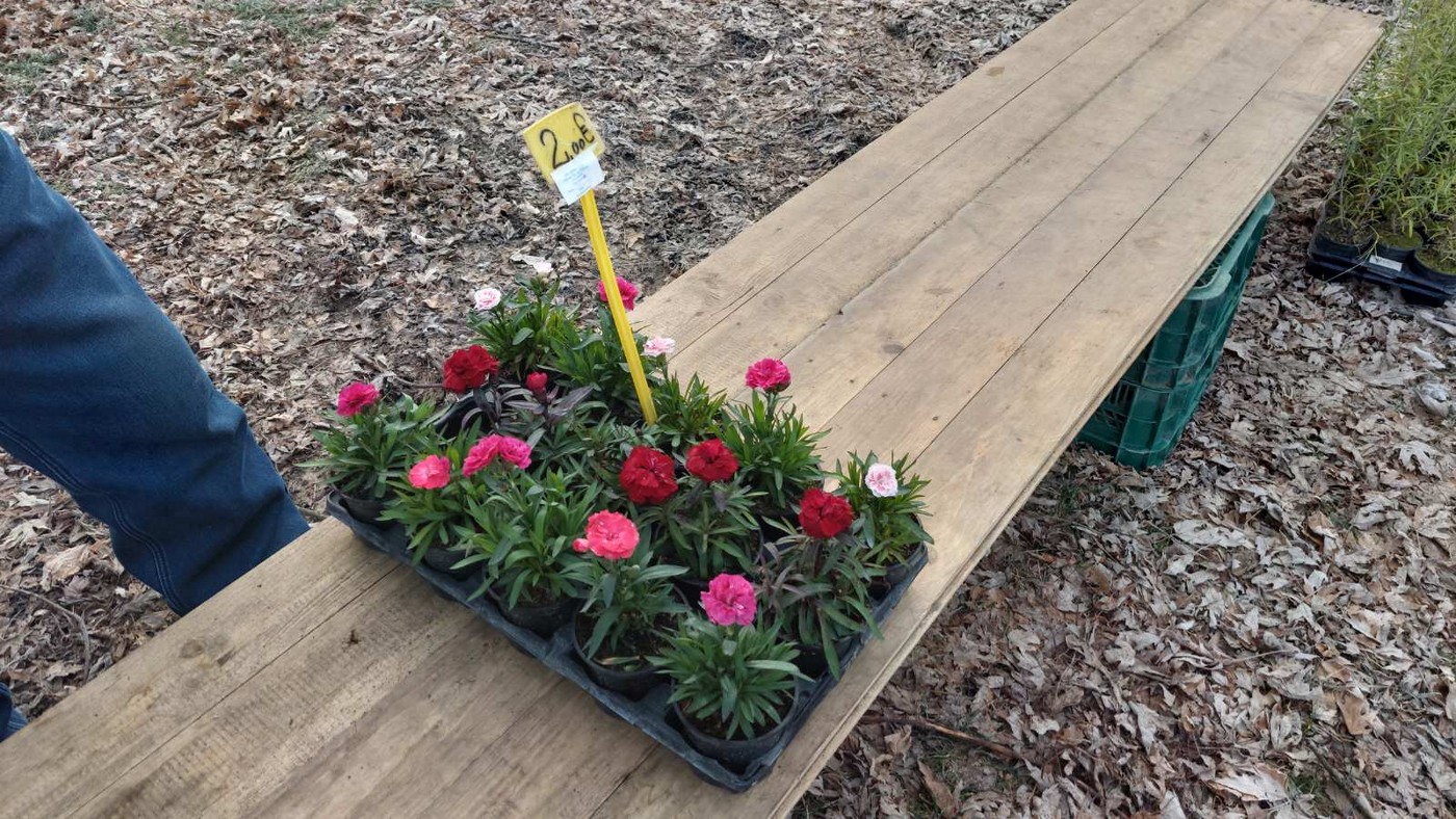 Čakovečki sajam 31.1.2024