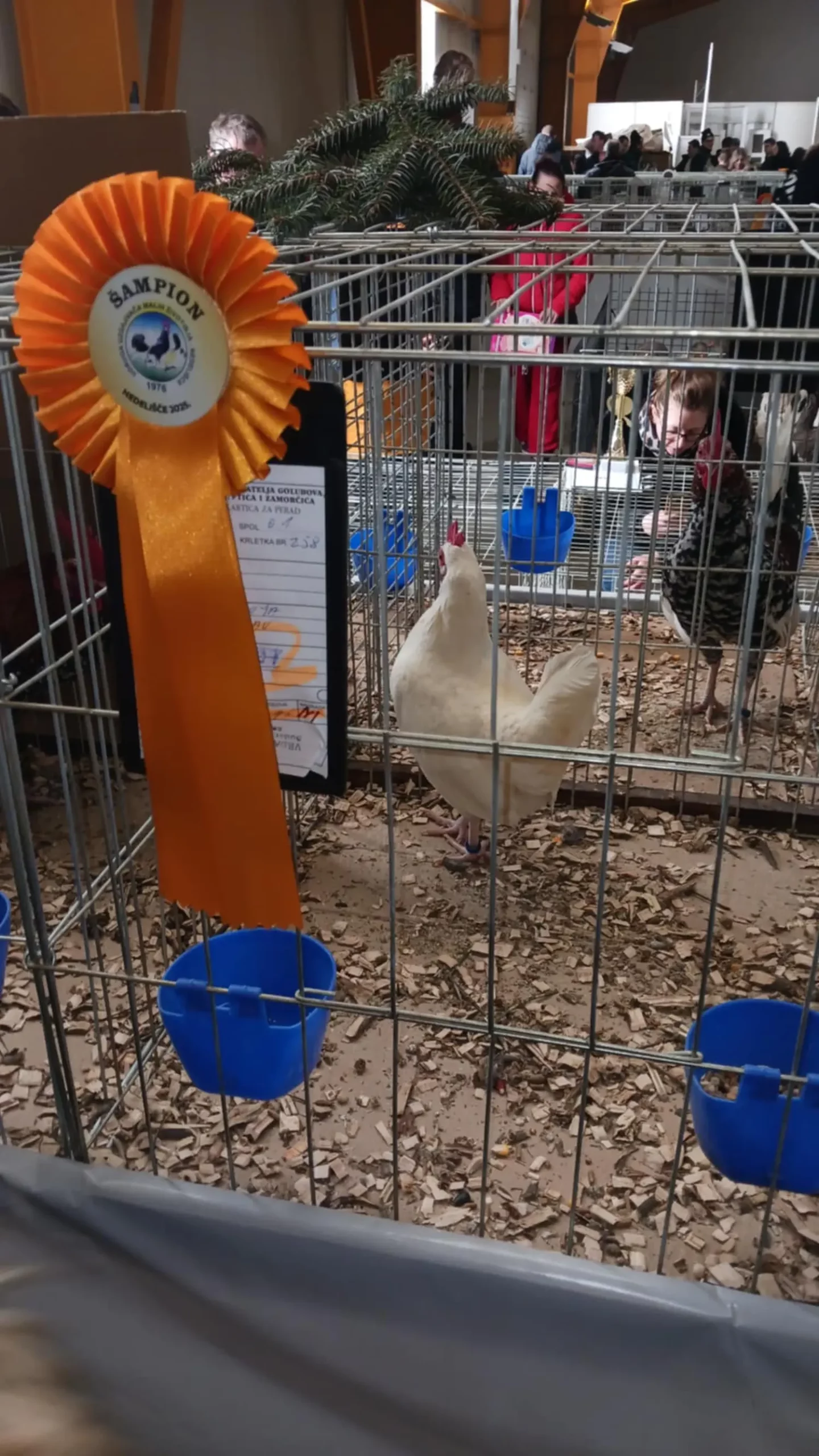 6e02f752-85bd-4197-9148-215fb5ede2e9 6e02f752-85bd-4197-9148-215fb5ede2e9