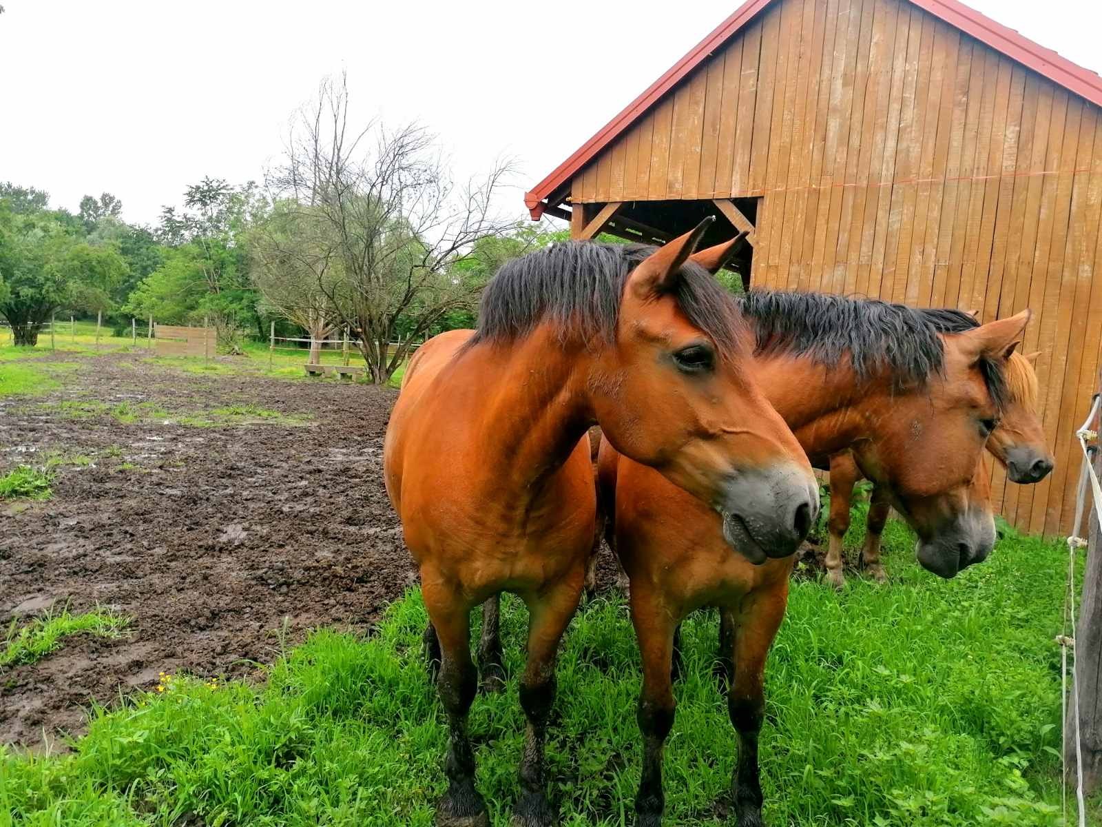 FOTO Putoholičari Iva i Branko daleka putovanja zamijenili promoviranjem vlastitog kraja