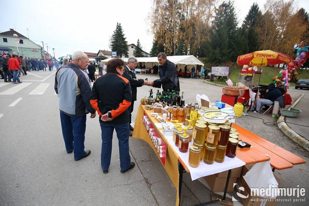 martinjesvetimartinnamuri002588