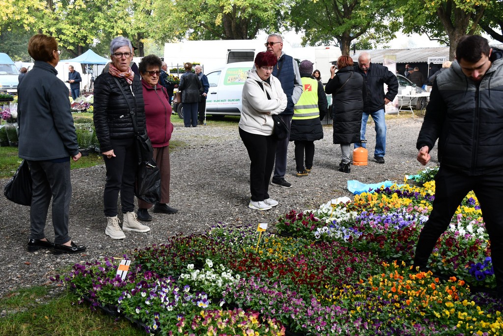 FOTO S dolaskom hladnijih dana povećan interes za kupnju drva za ogrjev