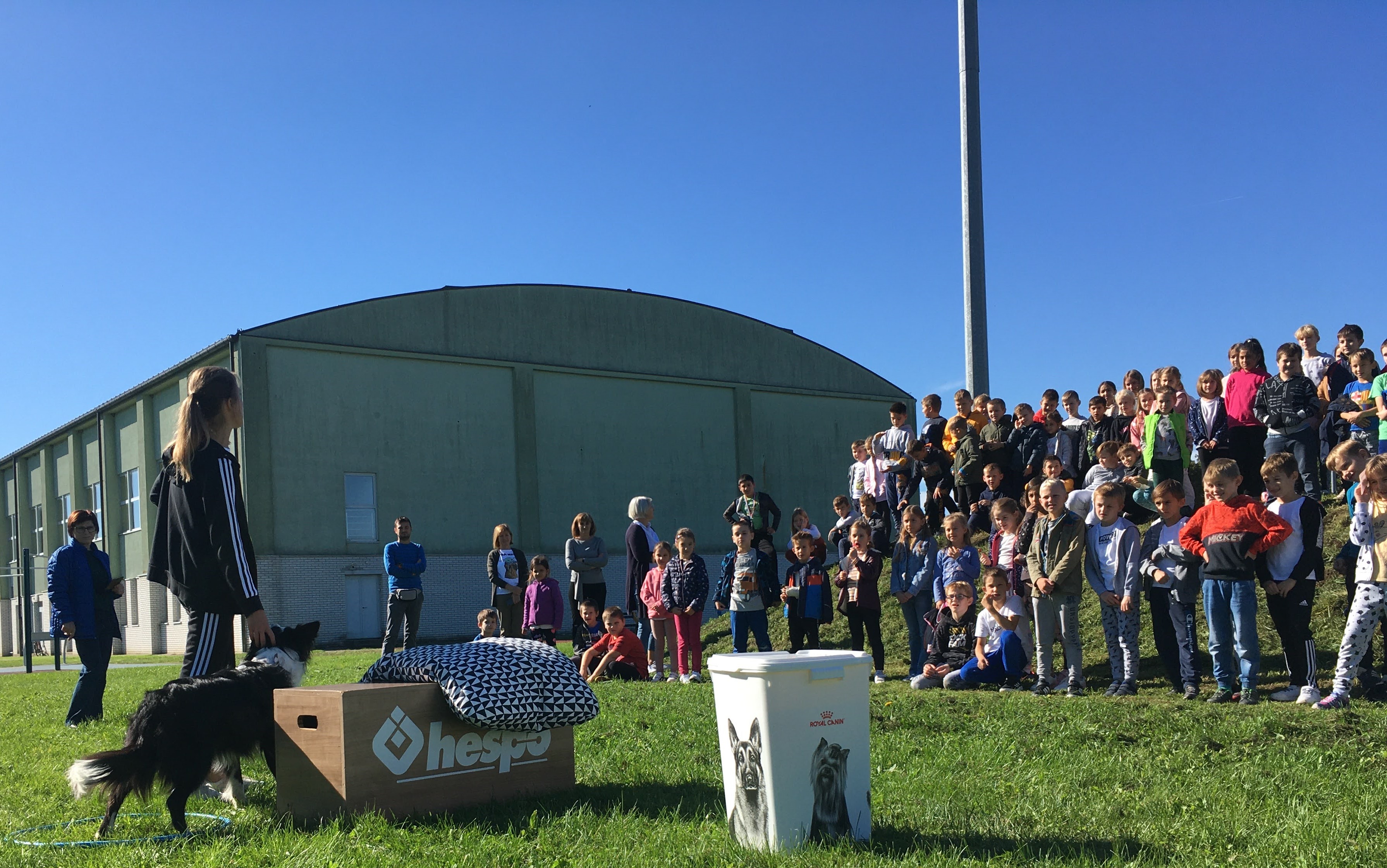 OŠ Tomaša Goričanca Mala Subotica – pas Tesla