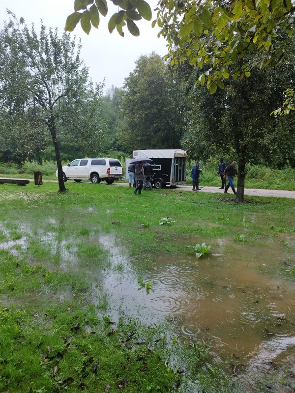 Evakuirani međimurski konji