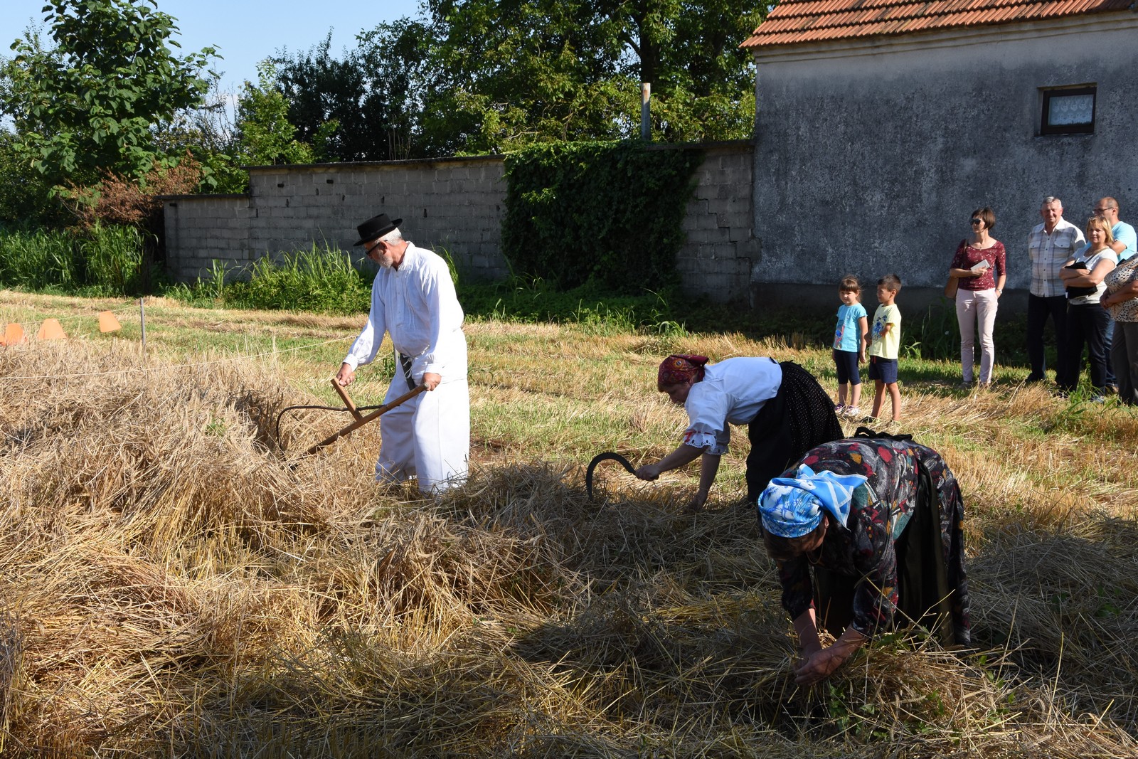 Mamičina žetva u Pušćinama