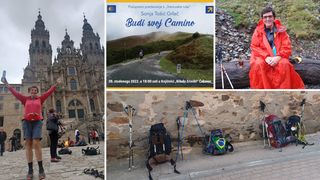 Image 5530348 (auto)