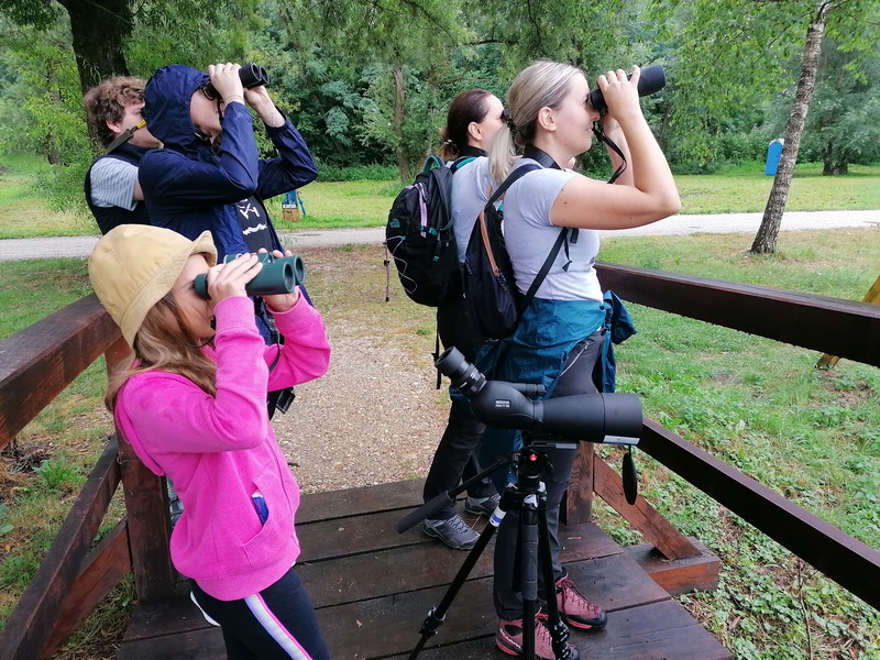 MEĐIMURSKA PRIRODA Ptičari tijekom dva sata opazili više od dvadeset ptičjih vrsta