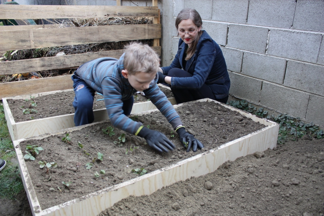 img4250resizekopija325549