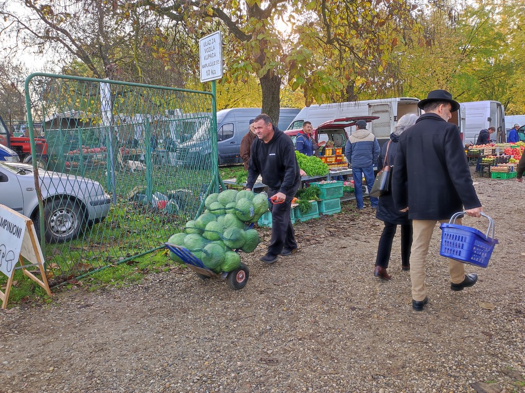 SAJAM SRIJEDOM Jeste li već probali meksički krastavac ili čajot?
