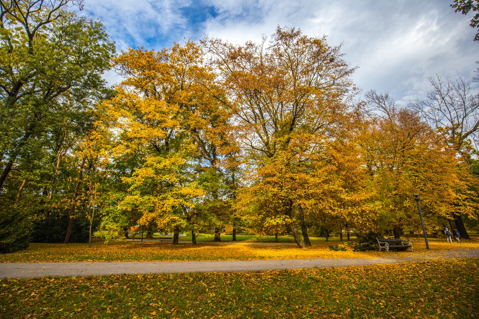 Čarobna jesen: Naša Miroslava Novak prošetala je čakovečkim parkom i snimila šarenilo jesenskih boja. Predivno, zar ne? (y) :-)
