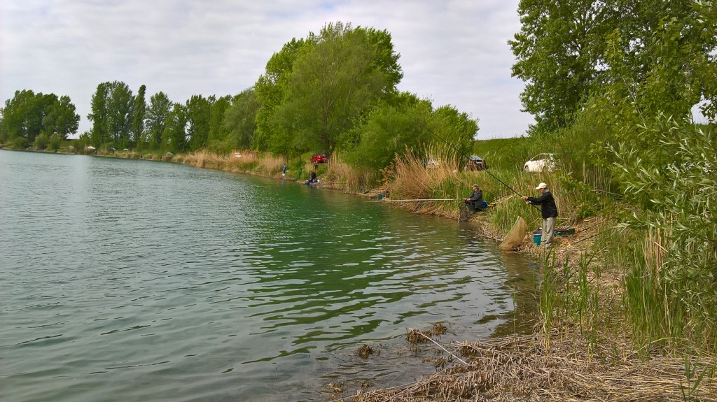 wp20170501090721pro782414