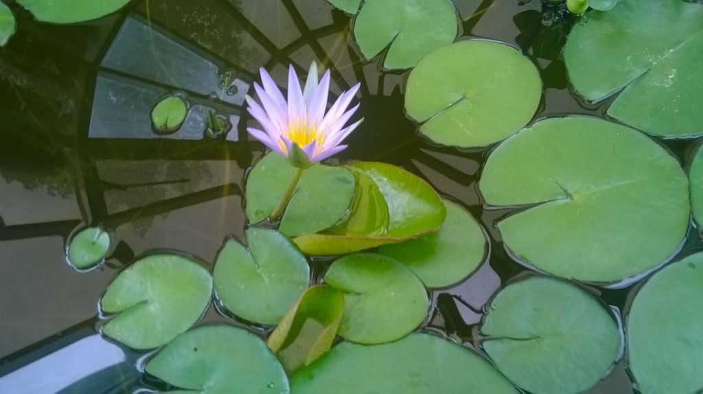 1e461a9870db3116e6afd4913643715