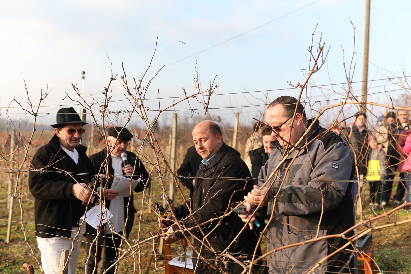 Vincekovo u Svetom Martinu na Muri
