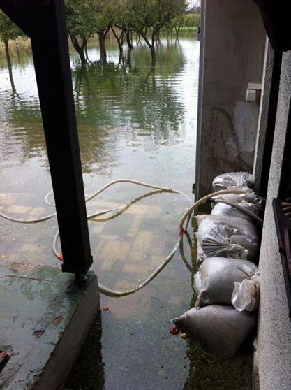 1045491682835259719971961563274