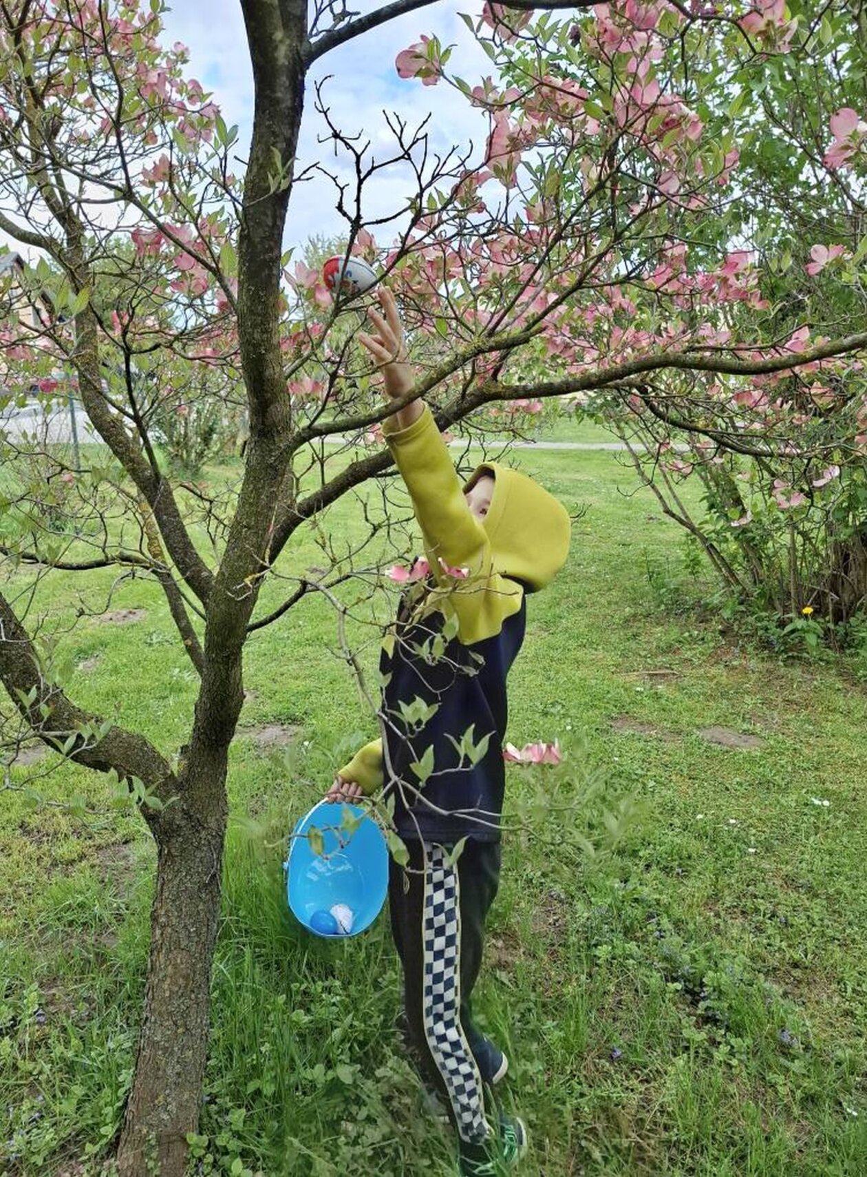 Novo selo rok lov na jaja