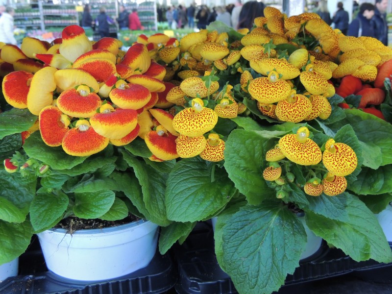 158824591d20868b23927a0768d8050