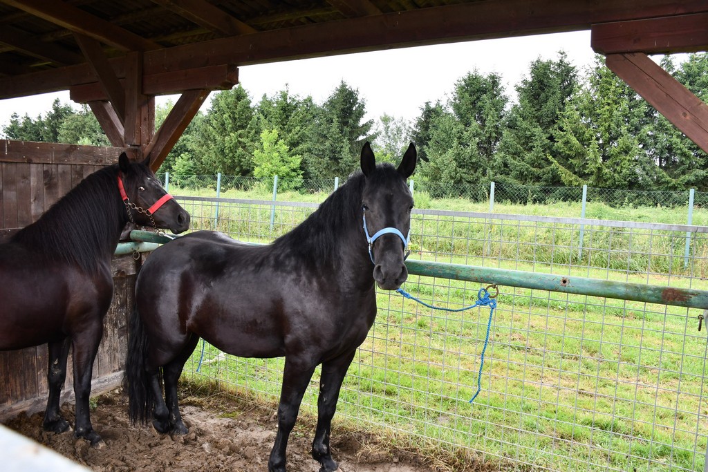 VIDEO I FOTO Međimurska škrinjica pokazala svo bogatstvo kraja med Murom i Dravom