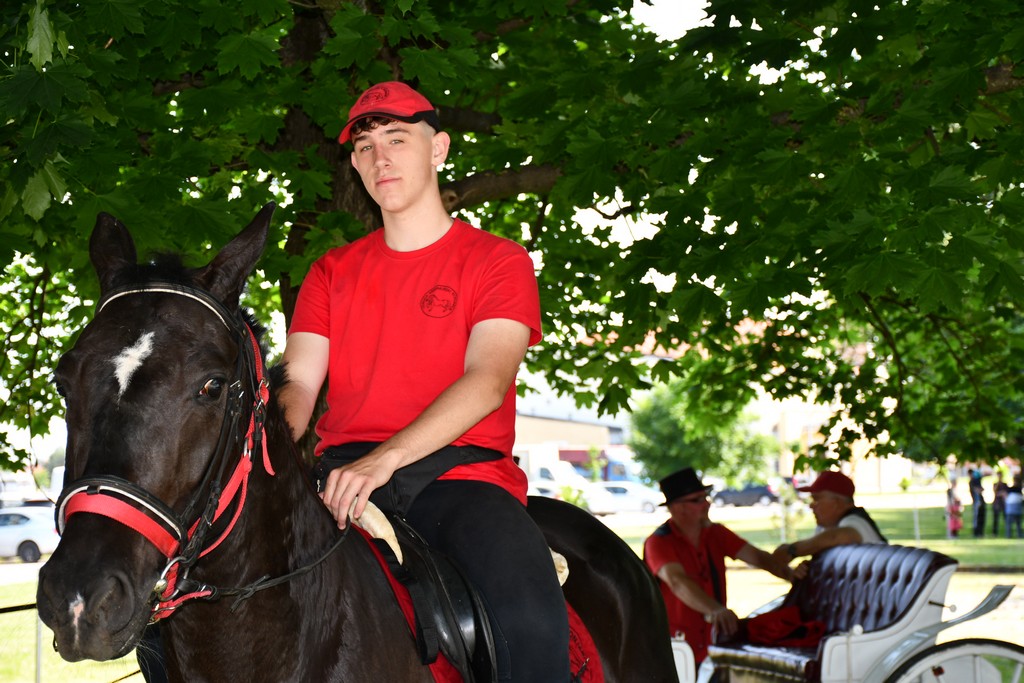 VIDEO I FOTO Međunarodno konjičko druženje okupilo brojne uzgajivače konja iz SZ Hrvatske te Slovenije i Austrije