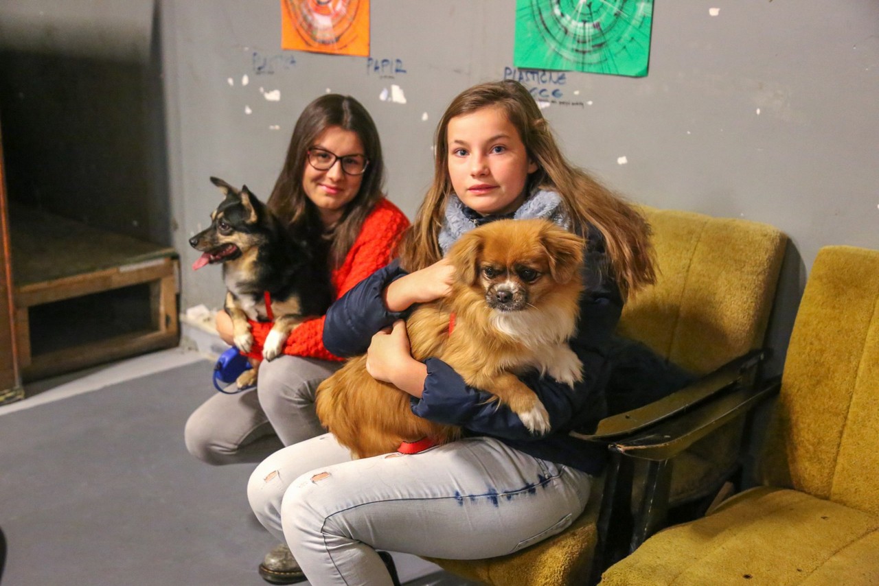 Humanitarno fotkanje s ljubimcima za pomoć azilu Prijatelji Čakovec